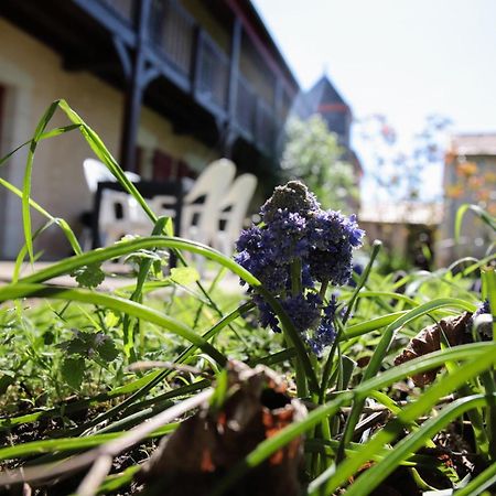 Au Repos Des Elfes Villa Braye-sous-Faye Buitenkant foto