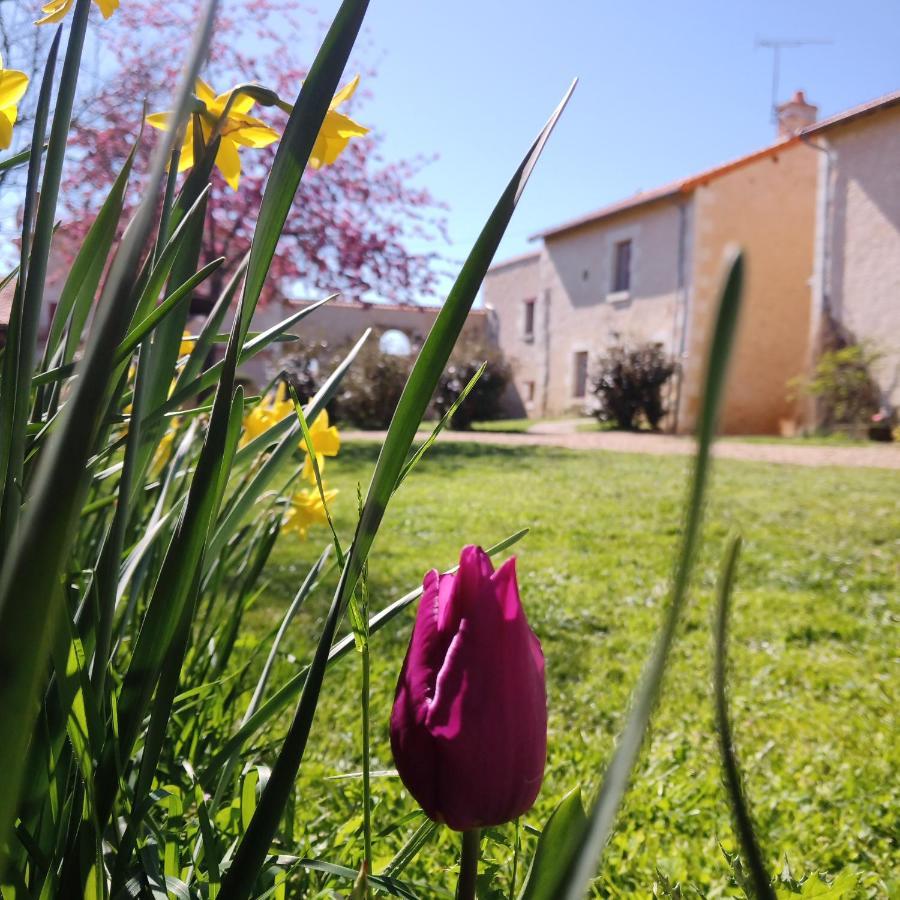 Au Repos Des Elfes Villa Braye-sous-Faye Buitenkant foto