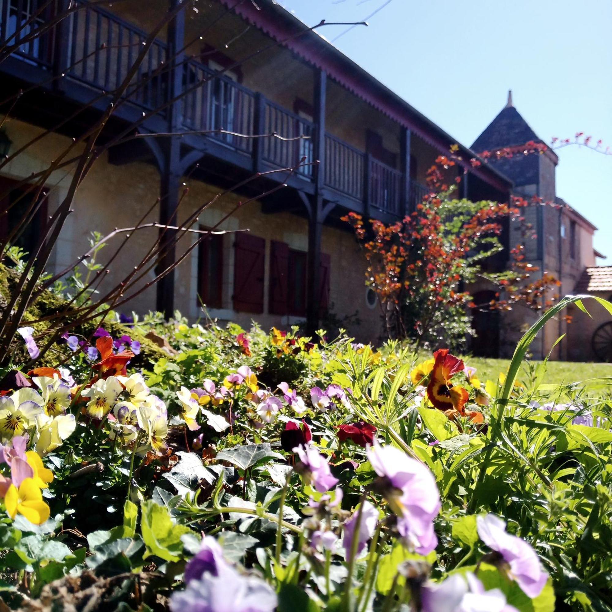 Au Repos Des Elfes Villa Braye-sous-Faye Buitenkant foto